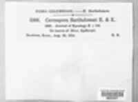 Image Associated With the Occurence